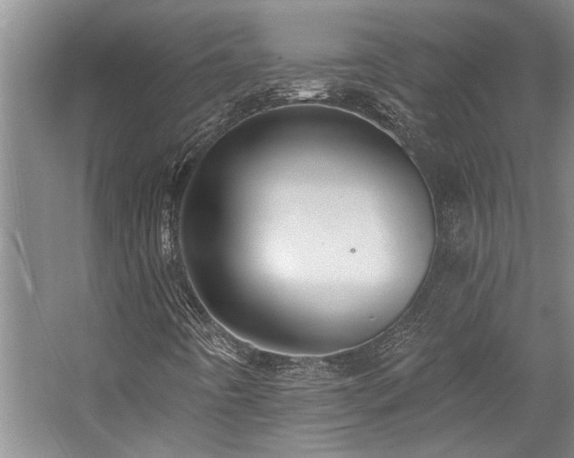 X0000059061442200510071029