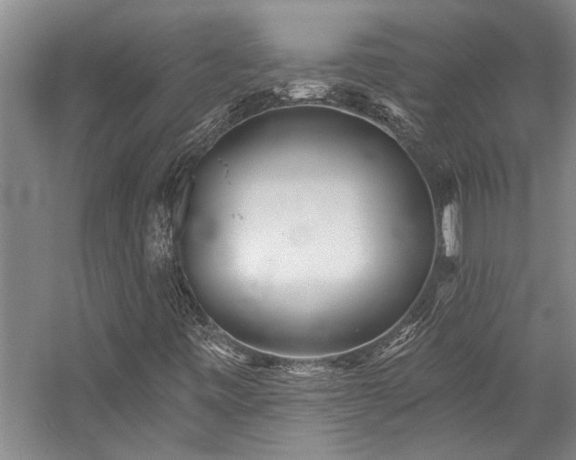 X0000059061443200510071029