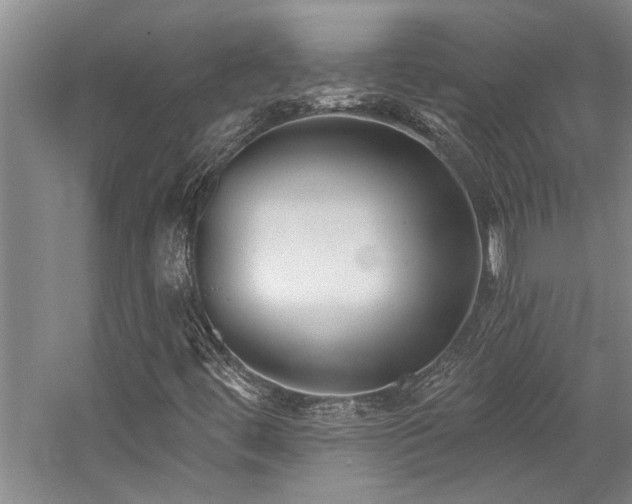 X0000059061444200510071029