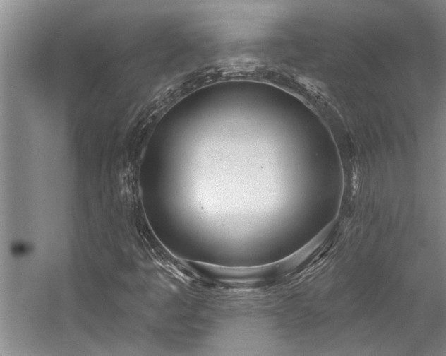 X0000059061445200510071029