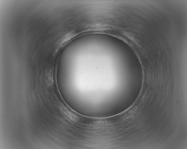 X0000059061451200510071029