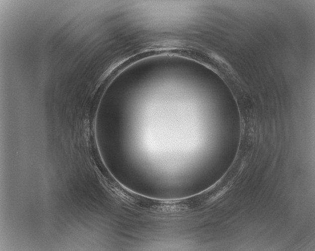 X0000059061457200510071029