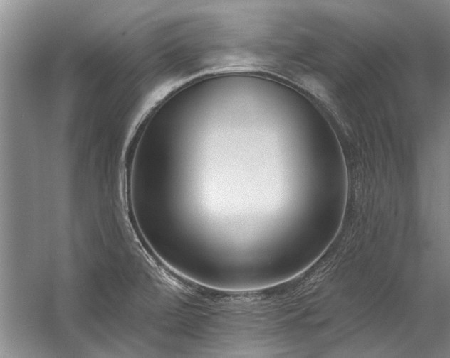 X0000059061472200510071029