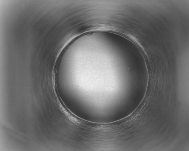 X0000059061476200510071029