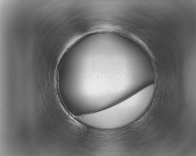 X0000059061477200510071029