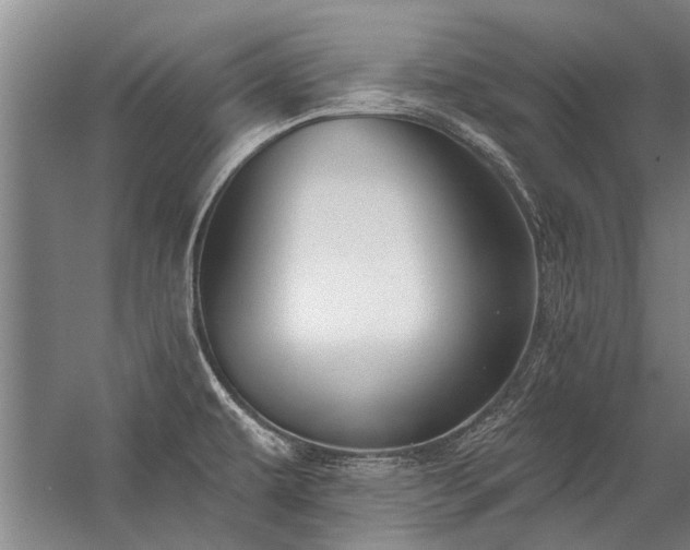 X0000059061479200510071029