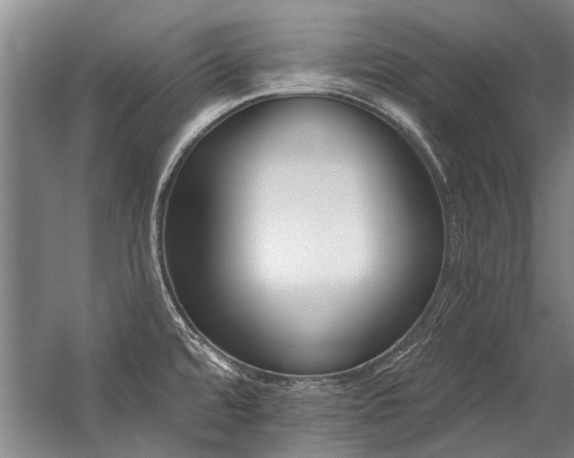 X0000059061480200510071029