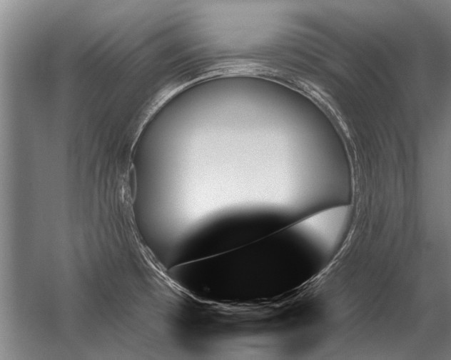 X0000059061481200510071029