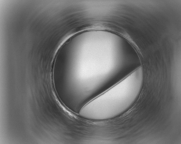 X0000059061484200510071029