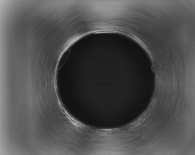 X0000059061485200510071029