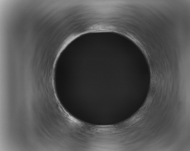 X0000059061486200510071029