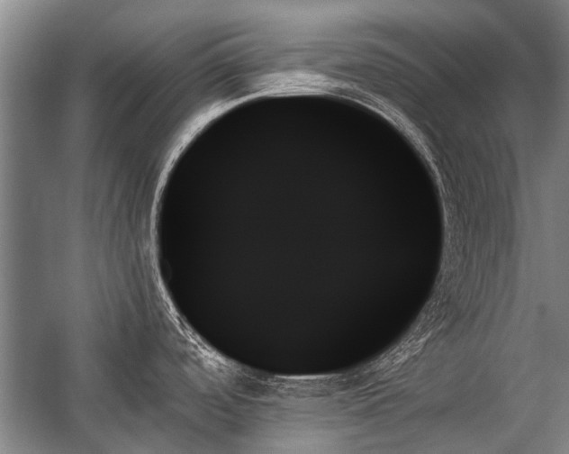 X0000059061488200510071029