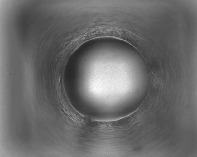 X0000059061489200510071028
