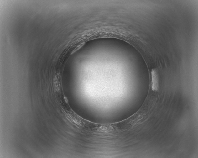 X0000059061491200510071028