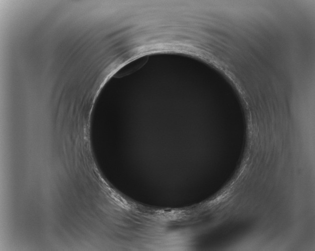 X0000059061529200510071029
