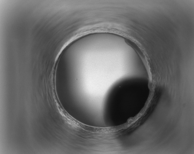 X0000059061530200510071029