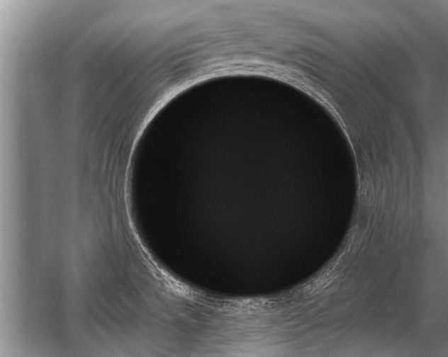 X0000059061533200510071029