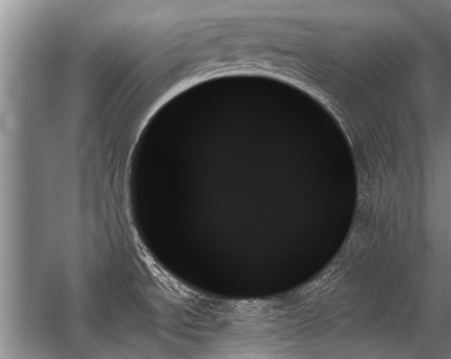 X0000059061534200510071029