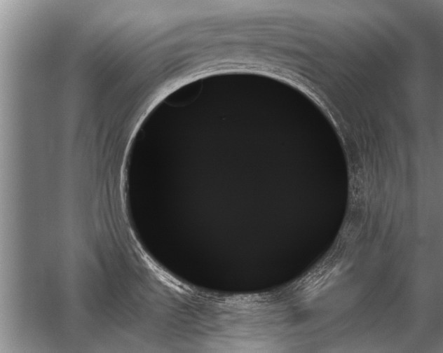 X0000059061535200510071029