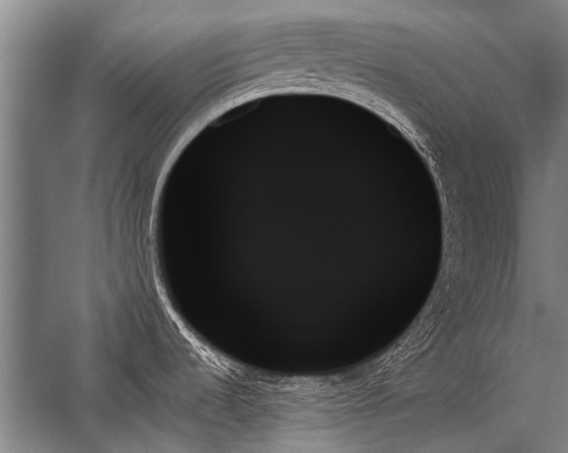 X0000059061536200510071029