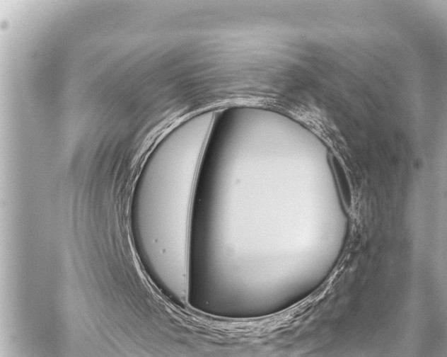 X0000059060001200510101101