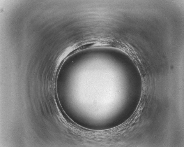 X0000059060003200510101101