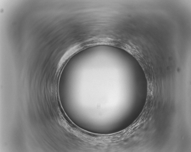 X0000059060004200510101101