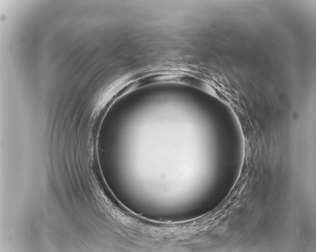 X0000059060005200510101101