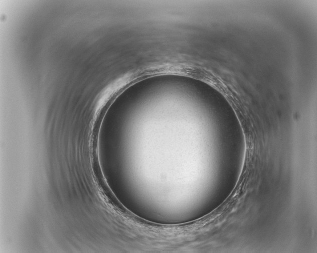 X0000059060006200510101101