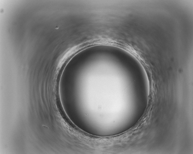 X0000059060007200510101100