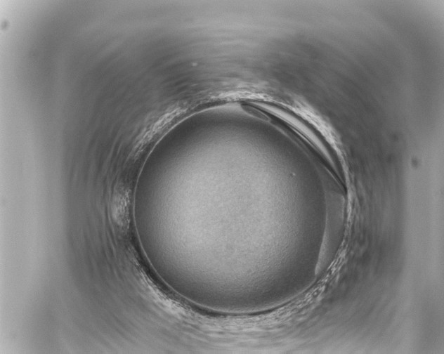 X0000059060009200510101100