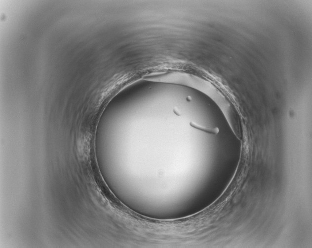 X0000059060010200510101100