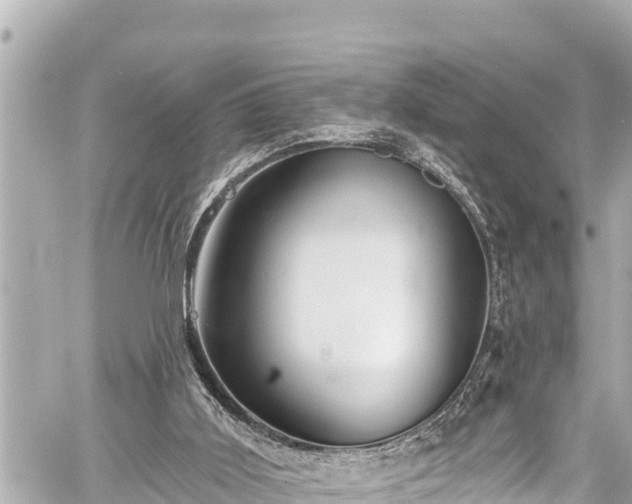 X0000059060011200510101100