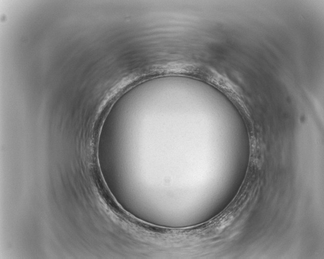 X0000059060012200510101100