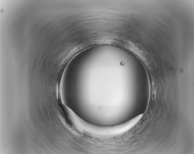 X0000059060013200510101100