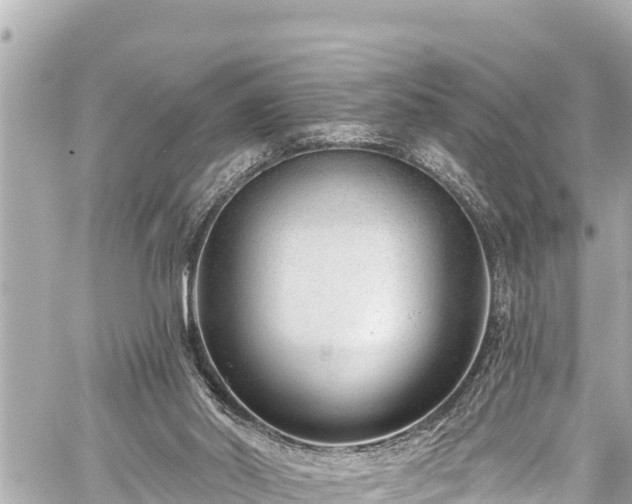 X0000059060014200510101100