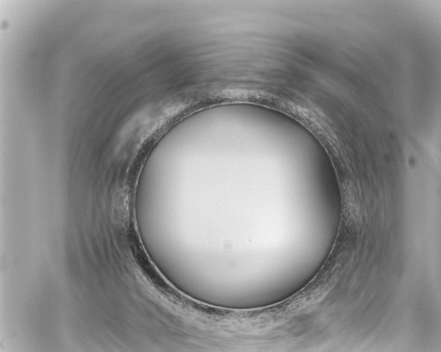 X0000059060016200510101100