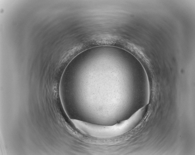 X0000059060017200510101100