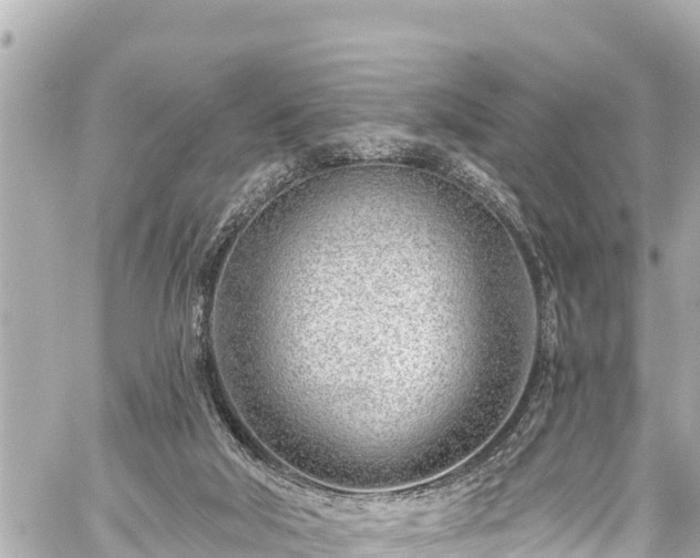 X0000059060018200510101100