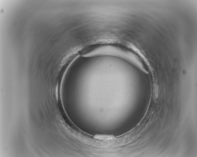 X0000059060019200510101100