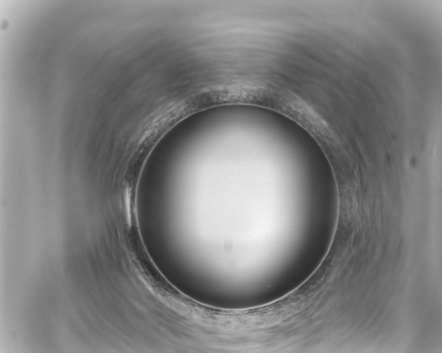 X0000059060022200510101100