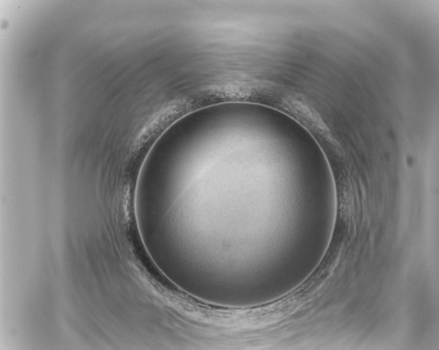 X0000059060023200510101100