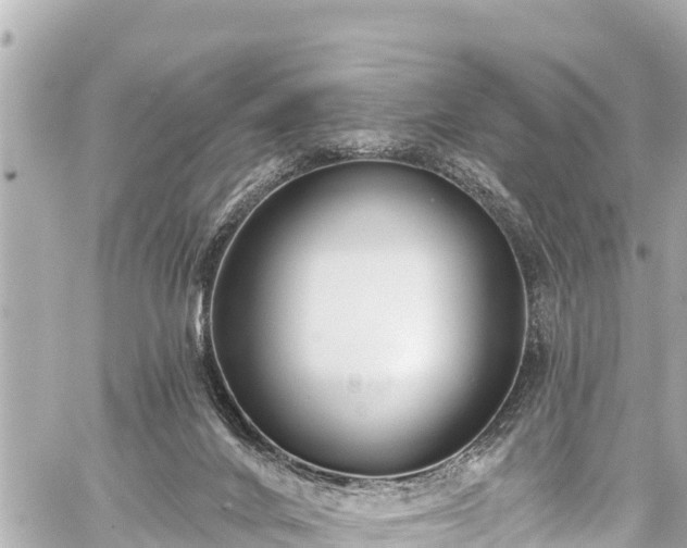 X0000059060024200510101100