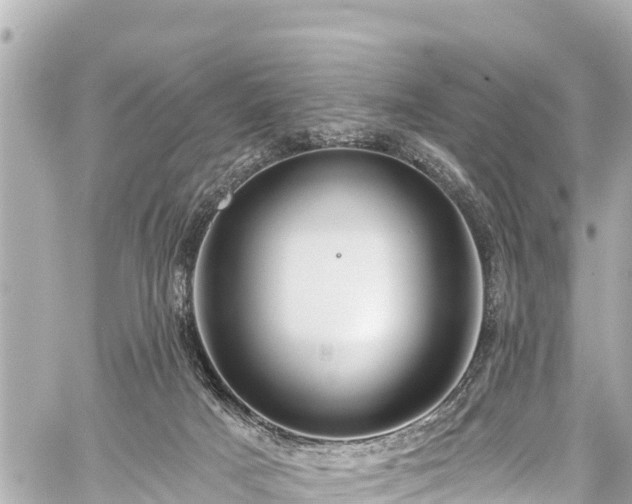 X0000059060025200510101100