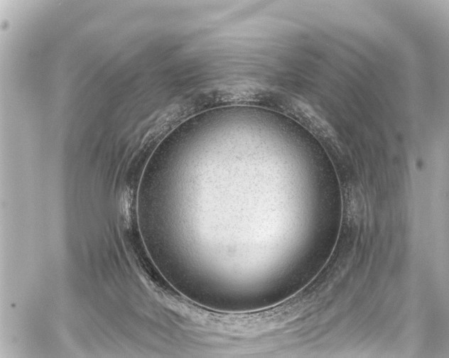 X0000059060026200510101100