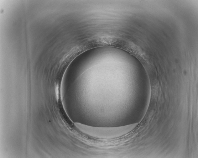 X0000059060027200510101100