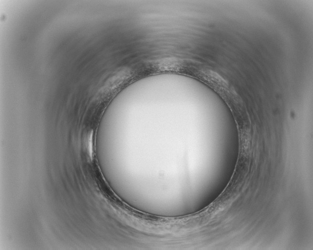 X0000059060028200510101100