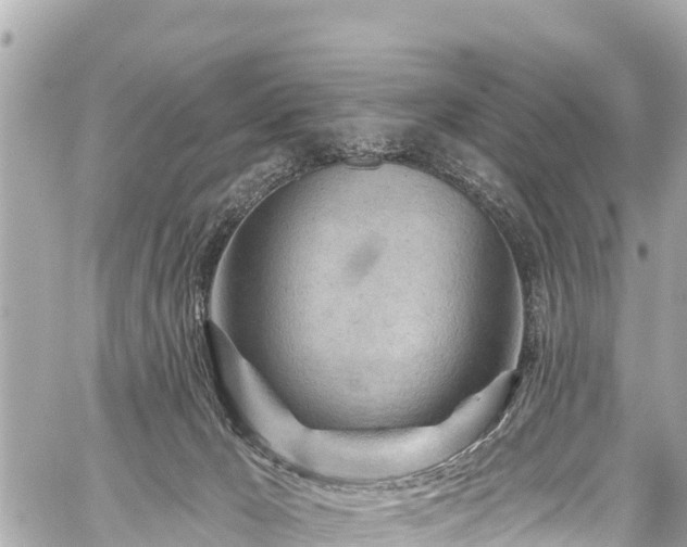 X0000059060029200510101100