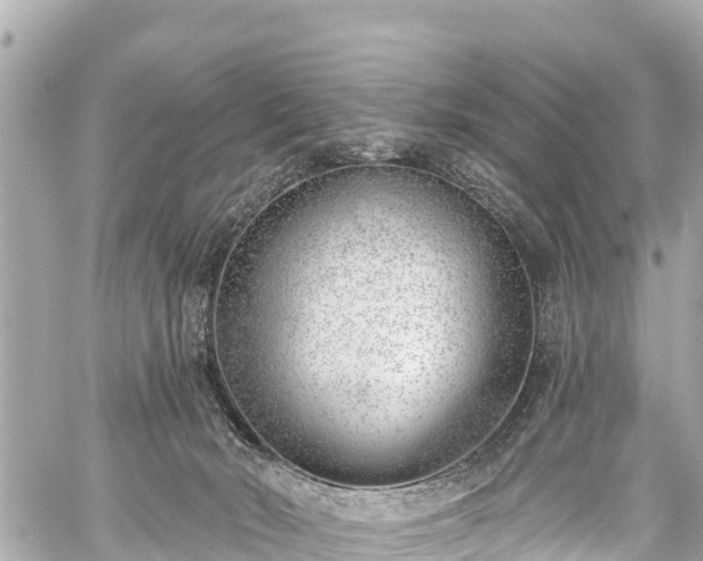 X0000059060030200510101100