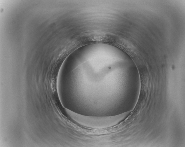 X0000059060031200510101100